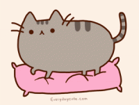 /album/fotogaleria/gato-pusheen-amasar-gif2/