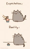 /album/fotogaleria/gato-pusheen-expectativa-gif1/