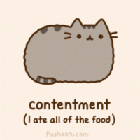 /album/fotogaleria/tumblr-lxq4dq4lrl1qhy6c9o6-250-gif1/